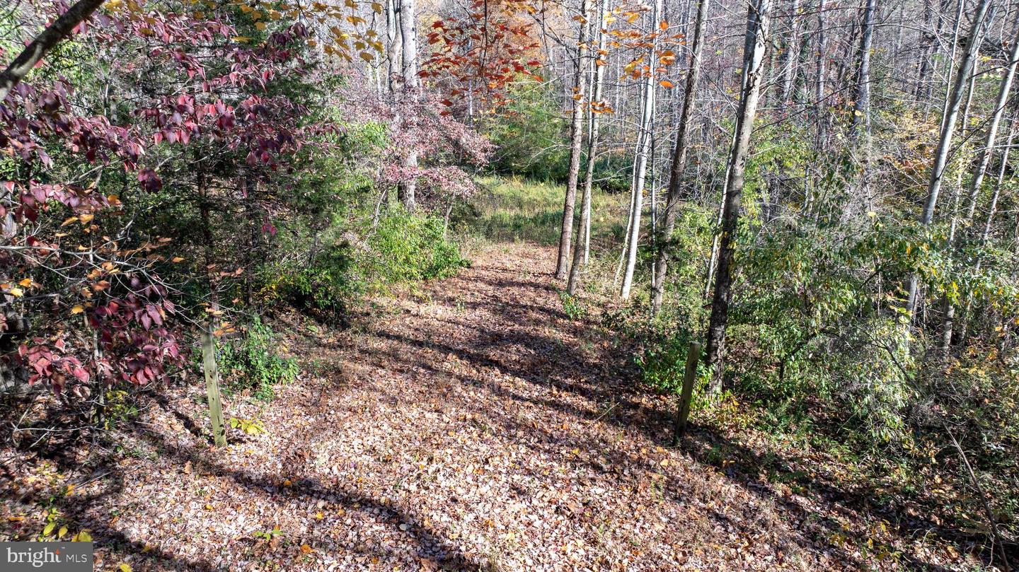 Tbd Pine Torch #78a Property Photo