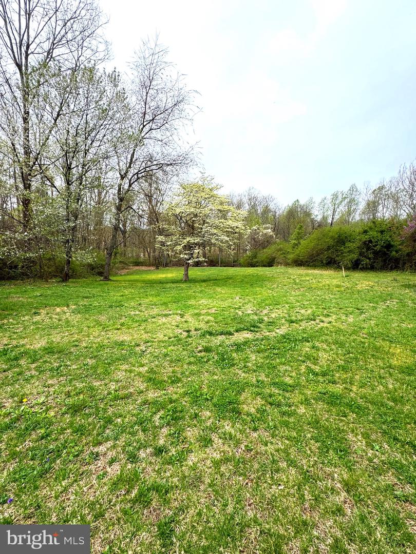 114 Marshall Road Property Photo 4
