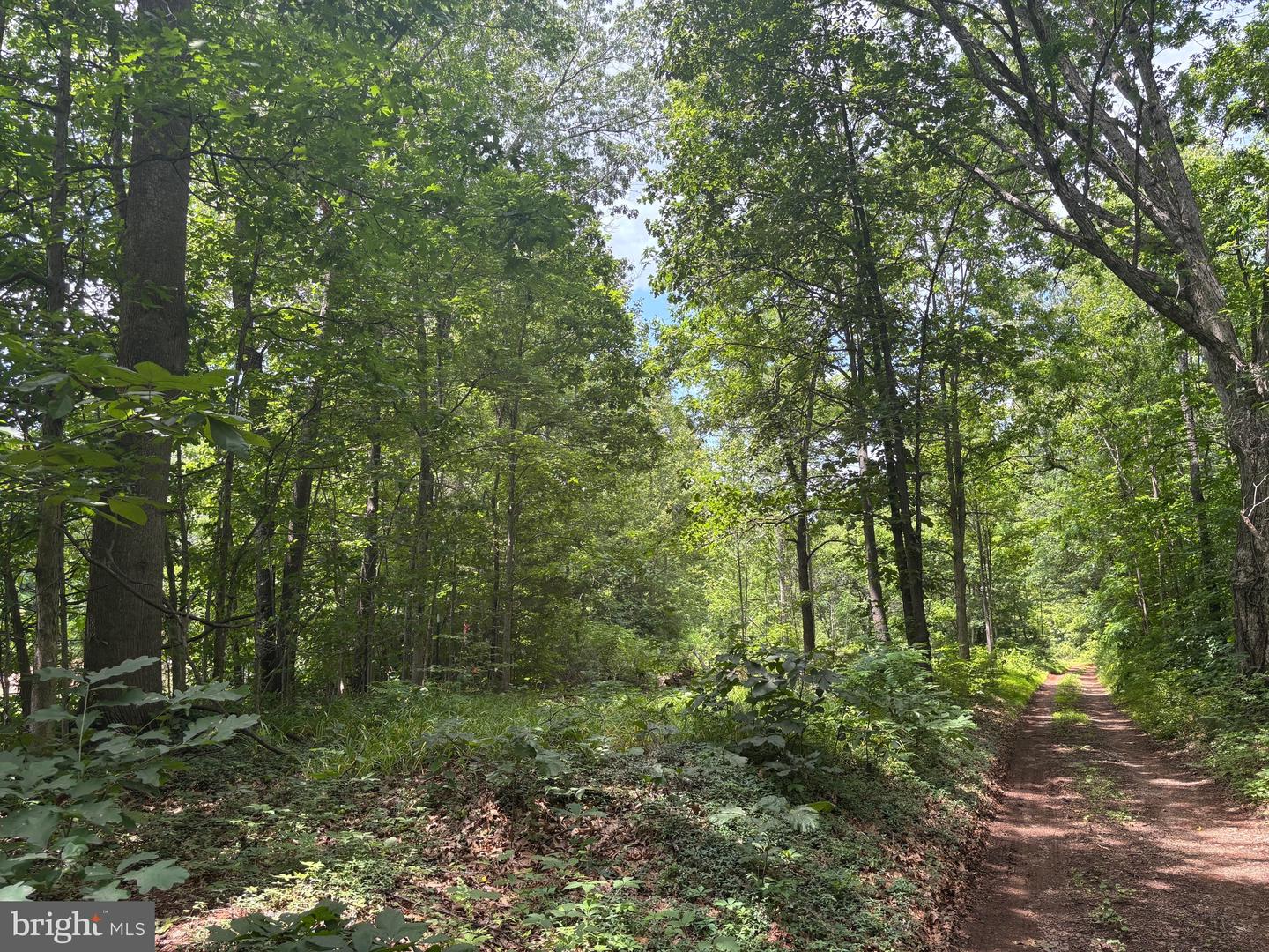 Tbd Mount Pisgah Church Dr Property Photo 10