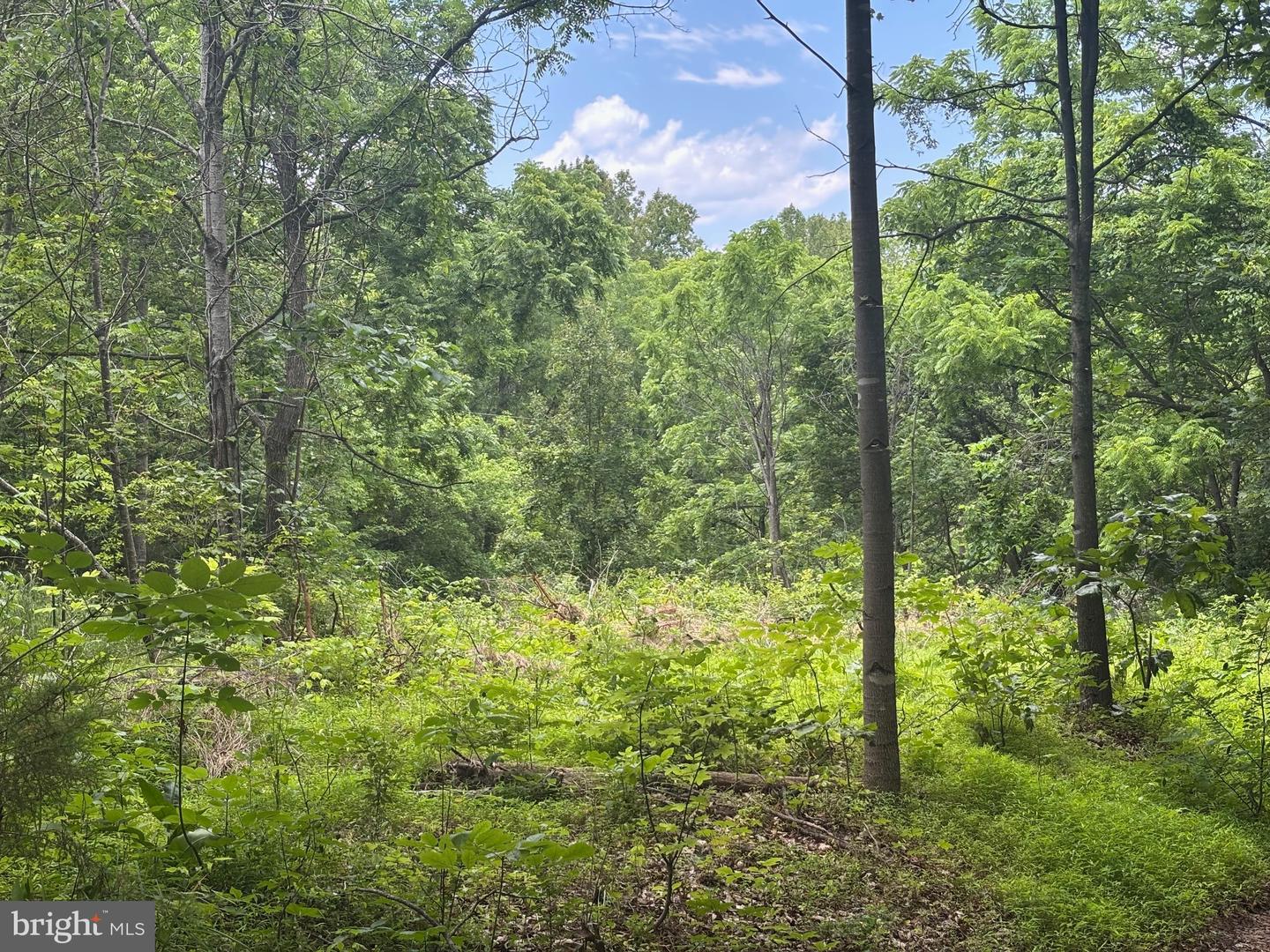 Tbd Mount Pisgah Church Dr Property Photo 11