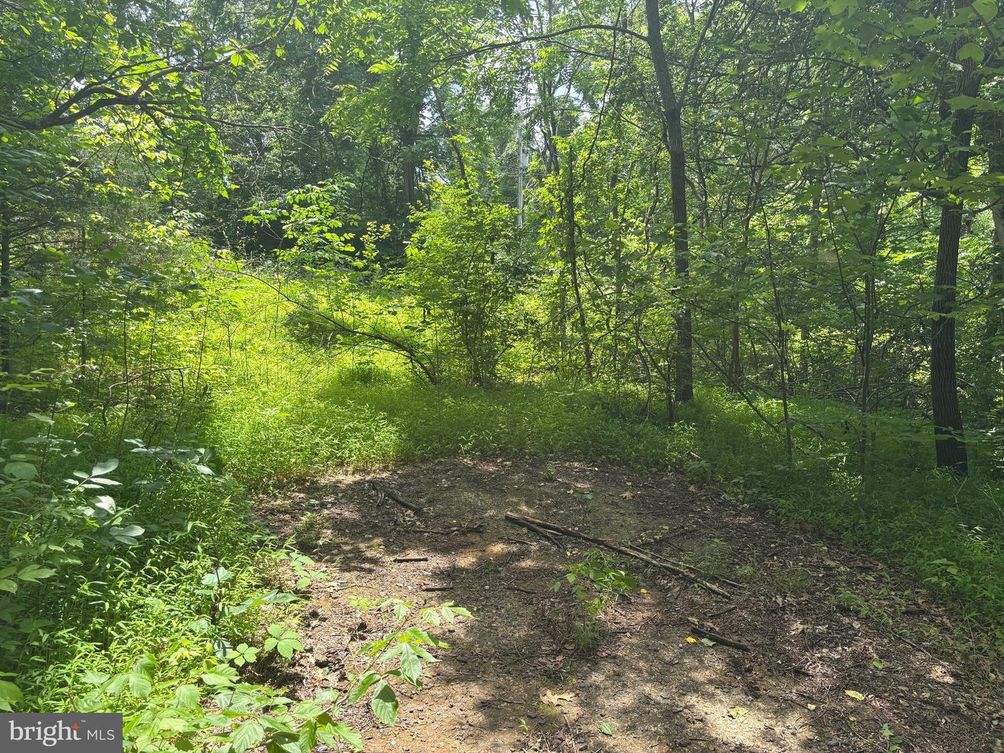 Tbd Mount Pisgah Church Dr Property Photo 13