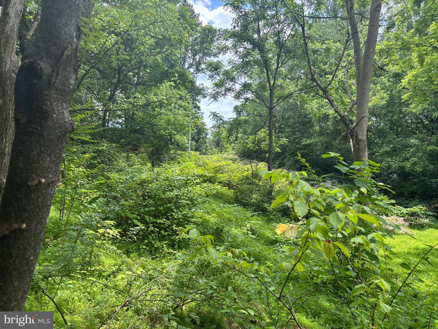 Tbd Mount Pisgah Church Dr Property Photo 15