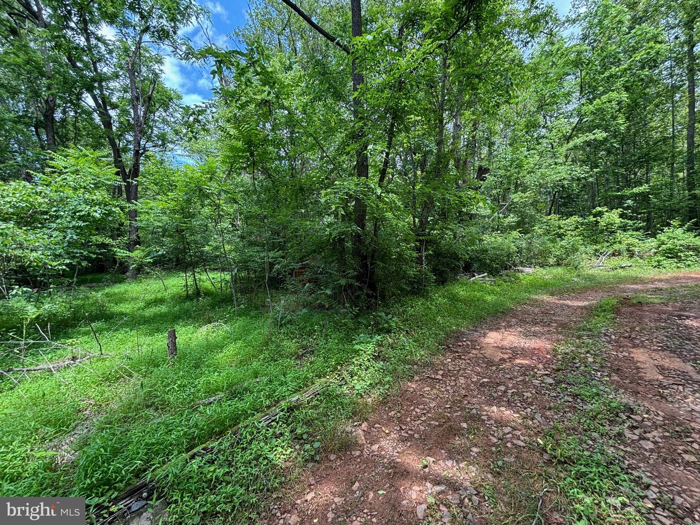 Tbd Mount Pisgah Church Dr Property Photo 16