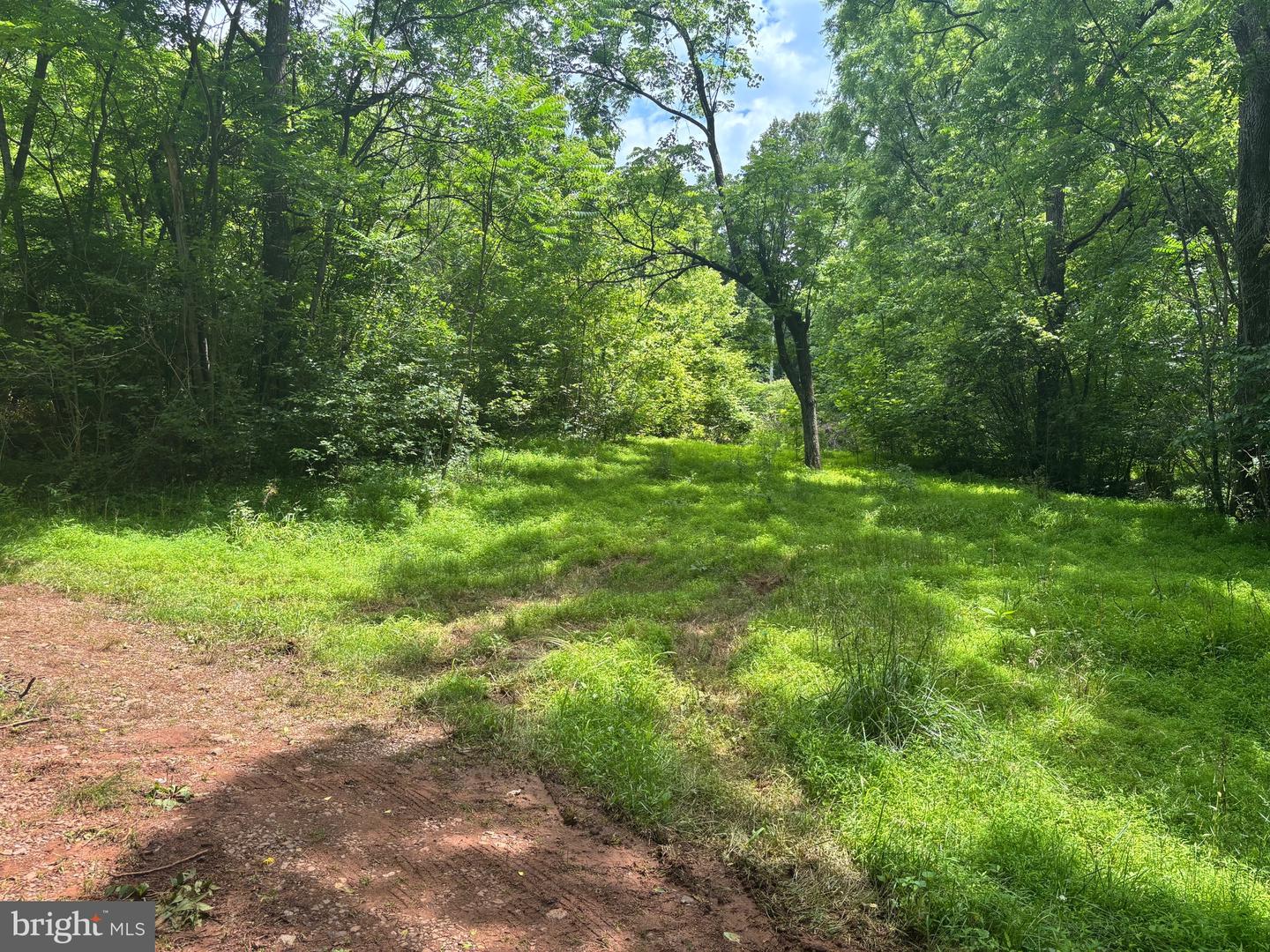 Tbd Mount Pisgah Church Dr Property Photo 17
