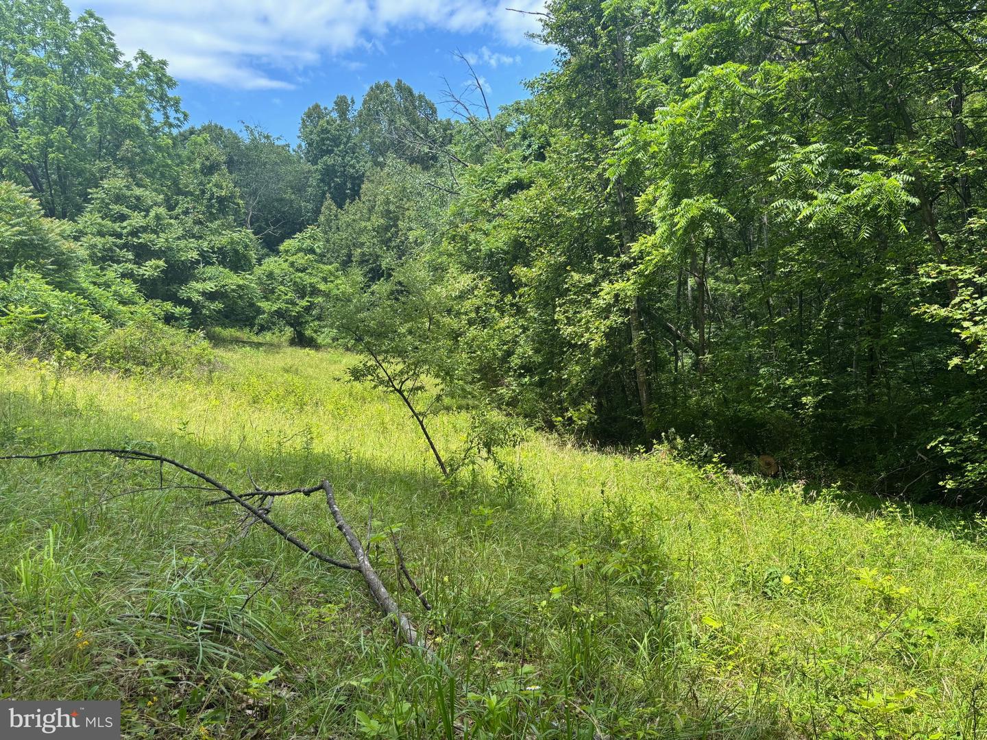 Tbd Mount Pisgah Church Dr Property Photo 18