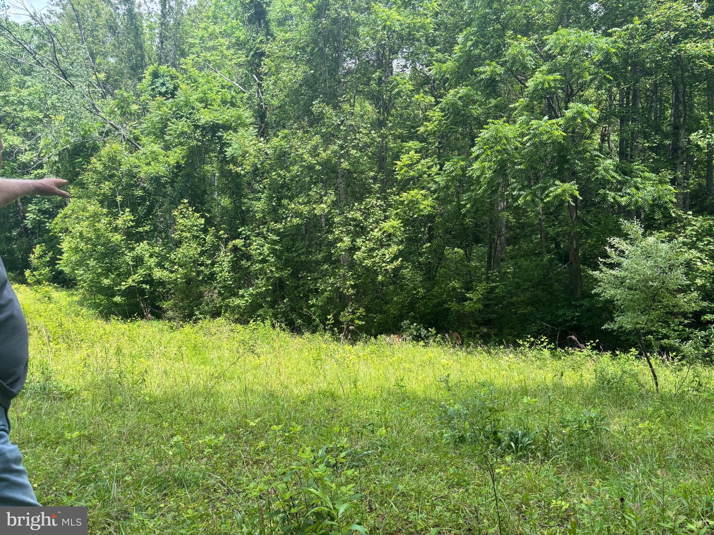 Tbd Mount Pisgah Church Dr Property Photo 19