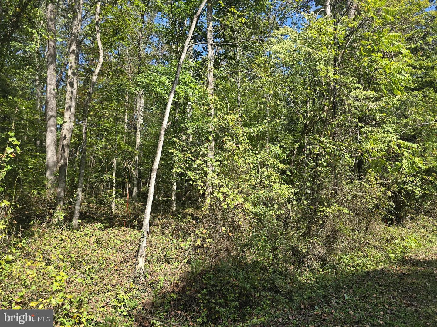 Poorhouse Rd Property Photo 2