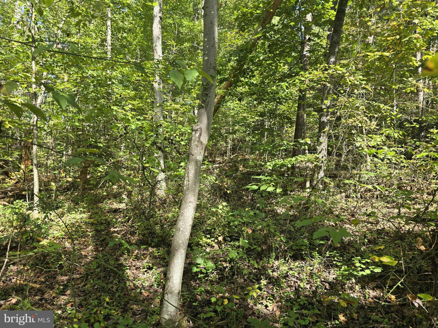 Poorhouse Rd Property Photo 3