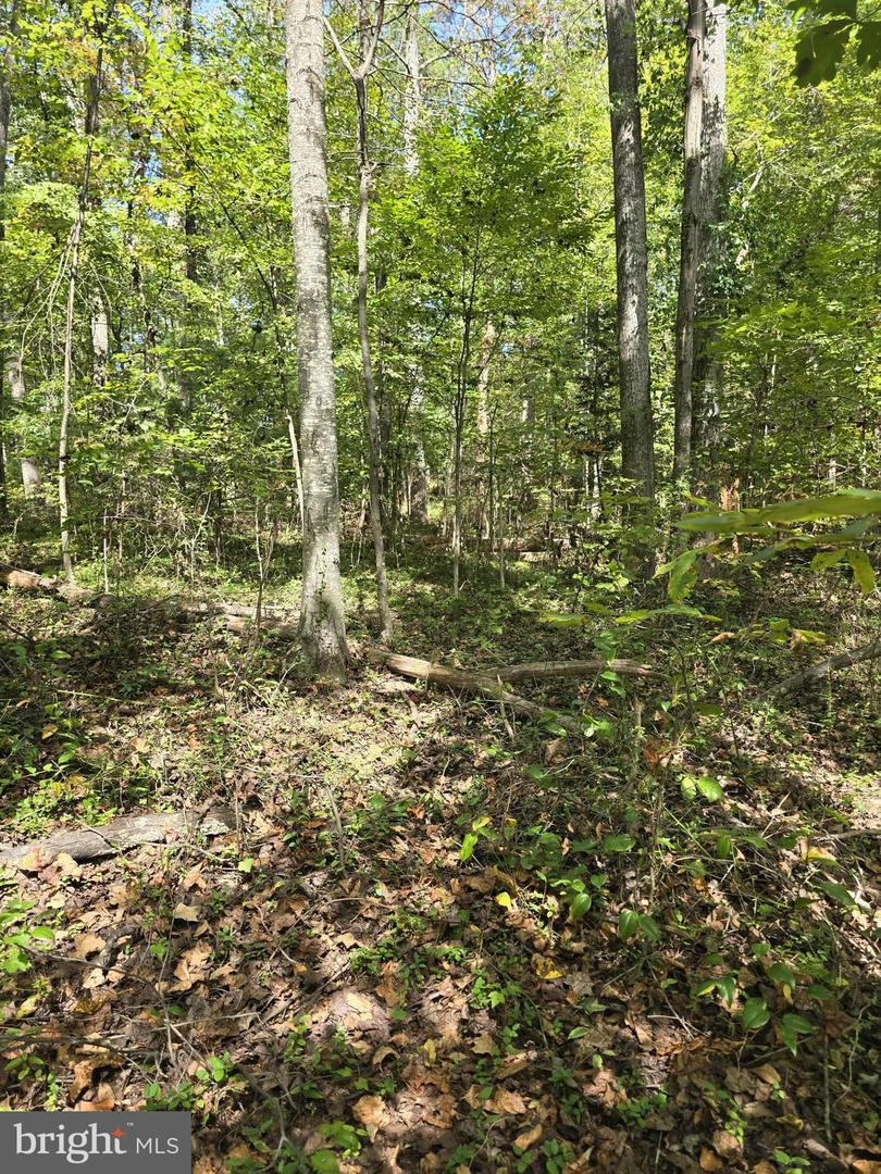 Poorhouse Rd Property Photo 4