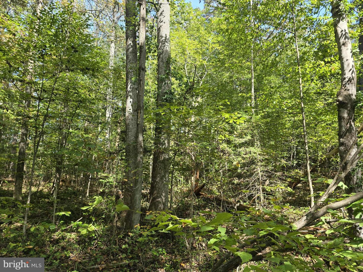 Poorhouse Rd Property Photo 5