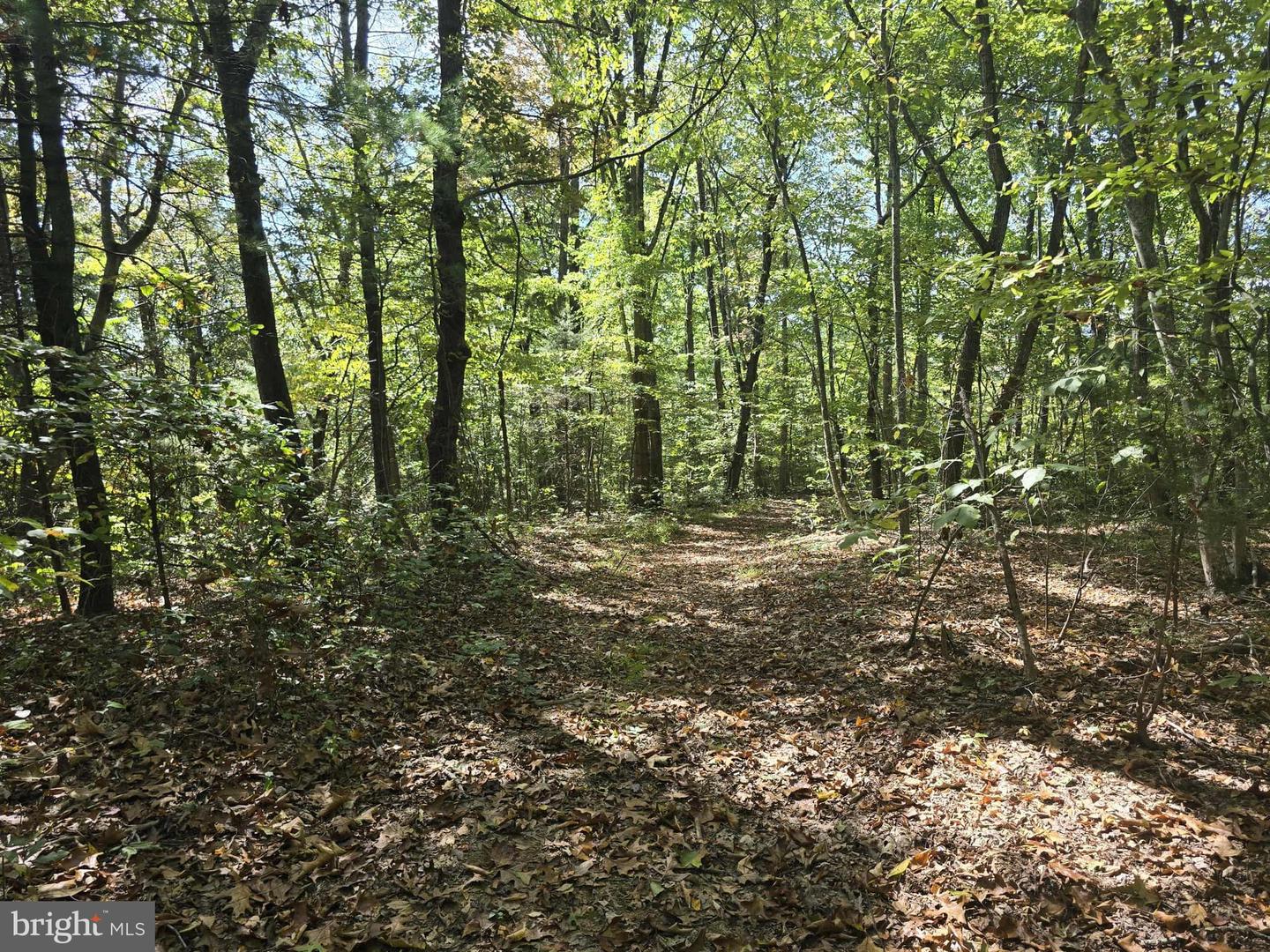 Hurt Hollow Rd Property Photo 3