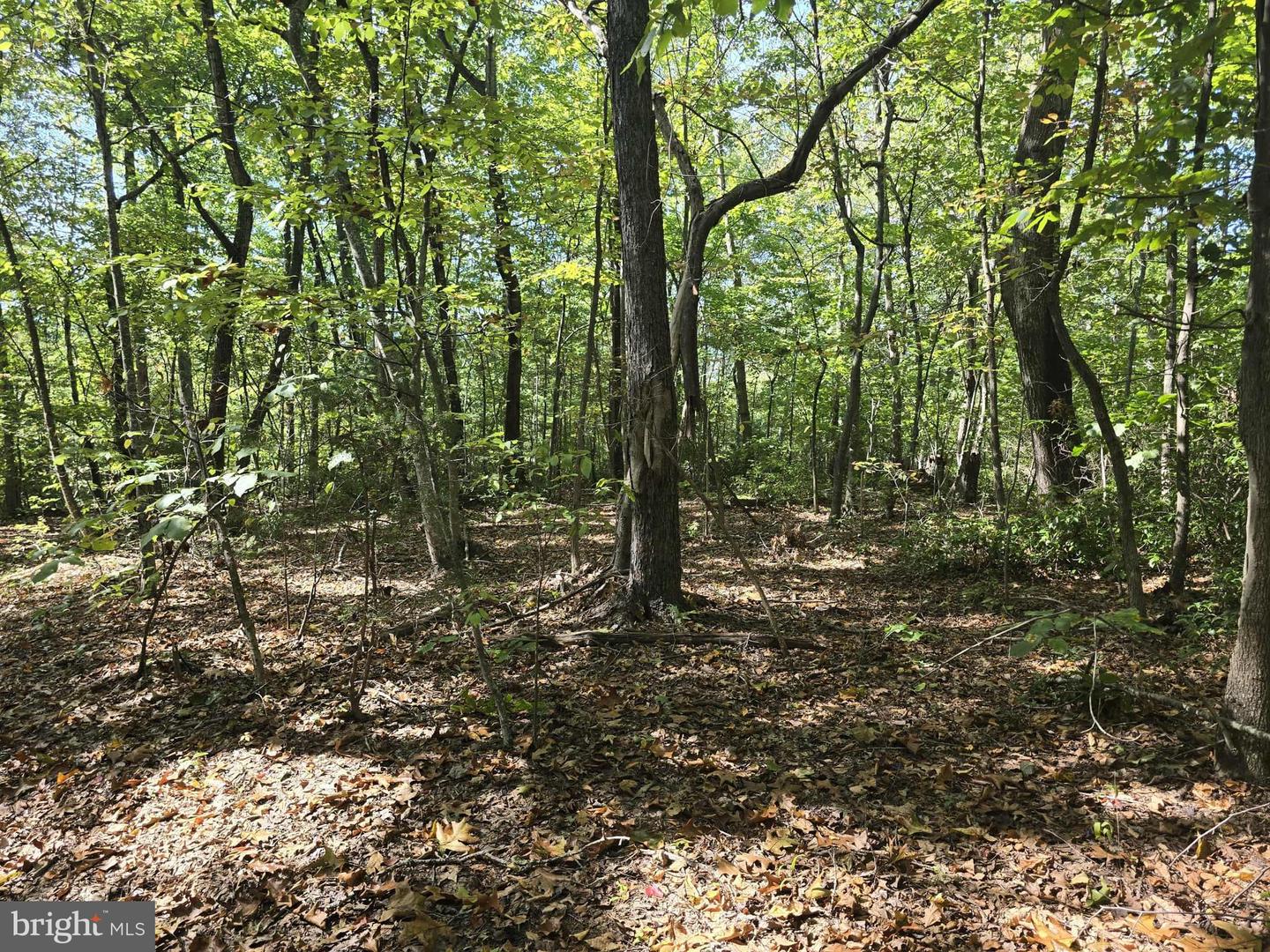 Hurt Hollow Rd Property Photo 4