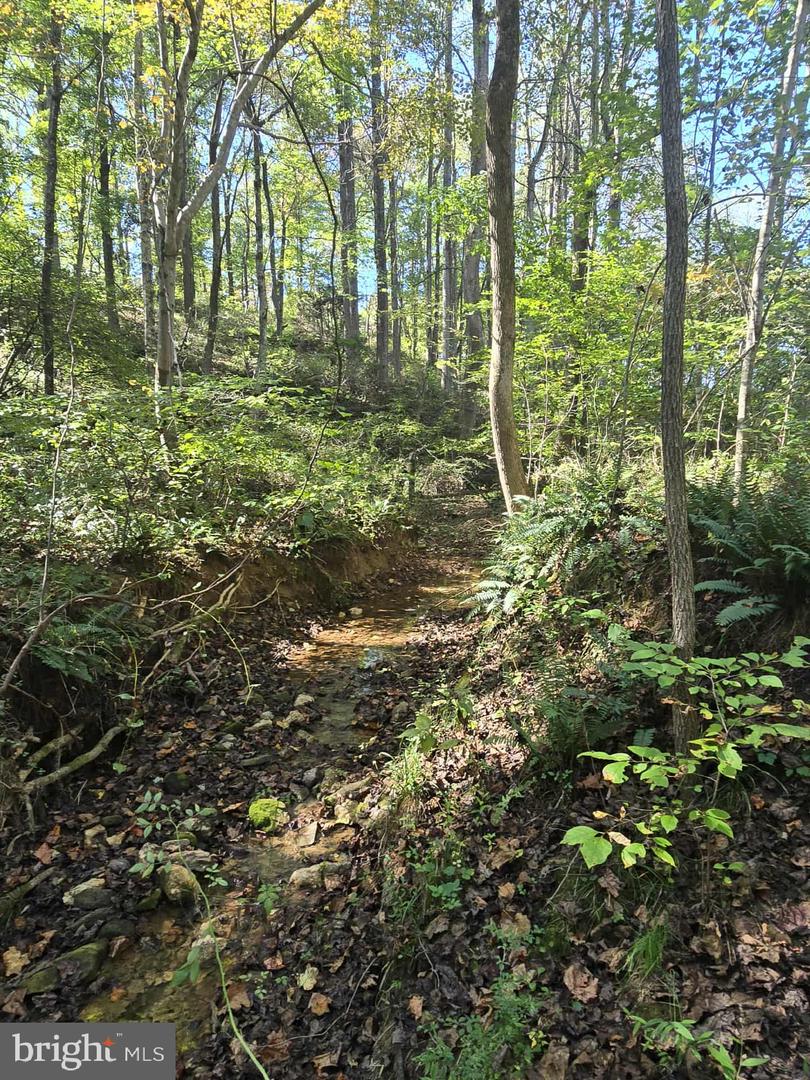 Hurt Hollow Rd Property Photo 5