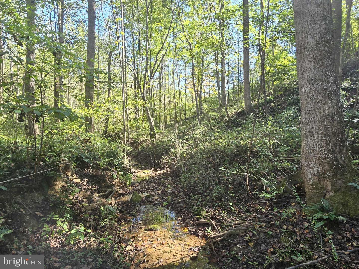 Hurt Hollow Rd Property Photo 6