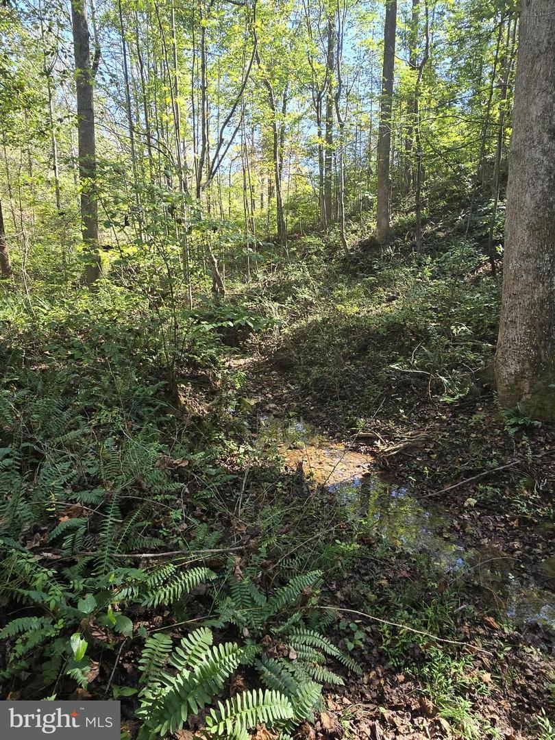 Hurt Hollow Rd Property Photo 7