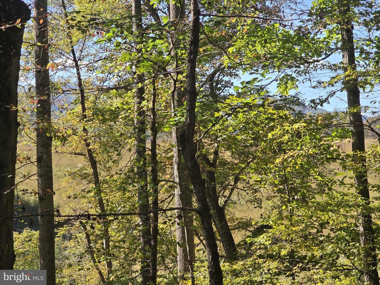Hurt Hollow Rd Property Photo 10