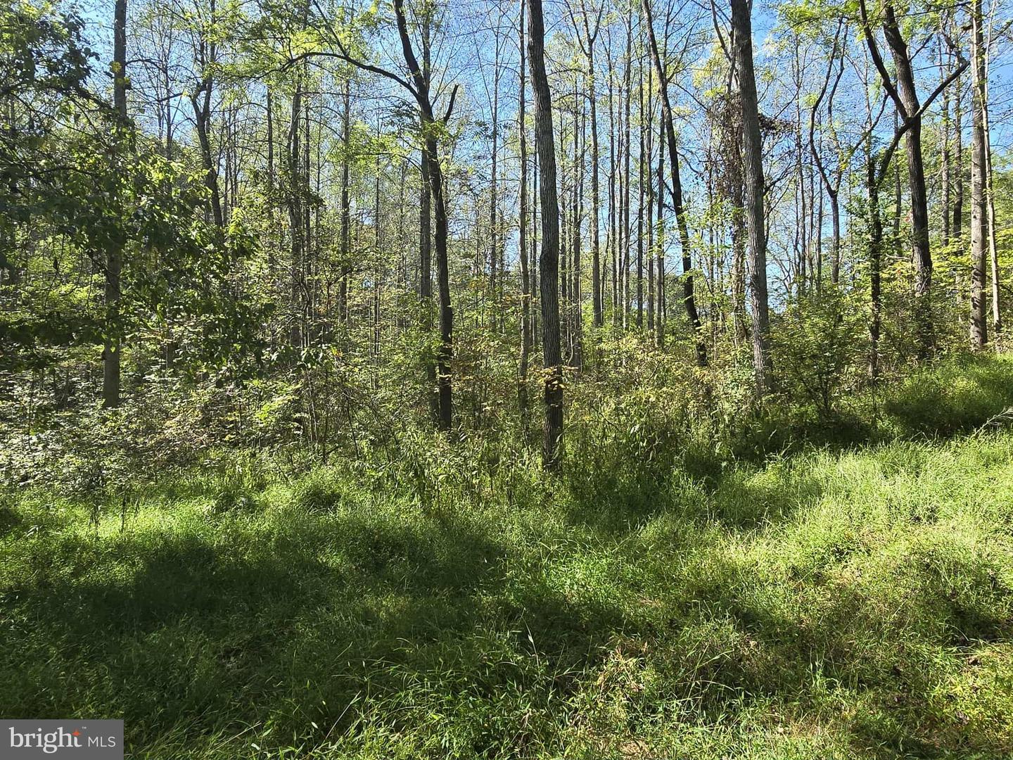 Hurt Hollow Rd Property Photo 12