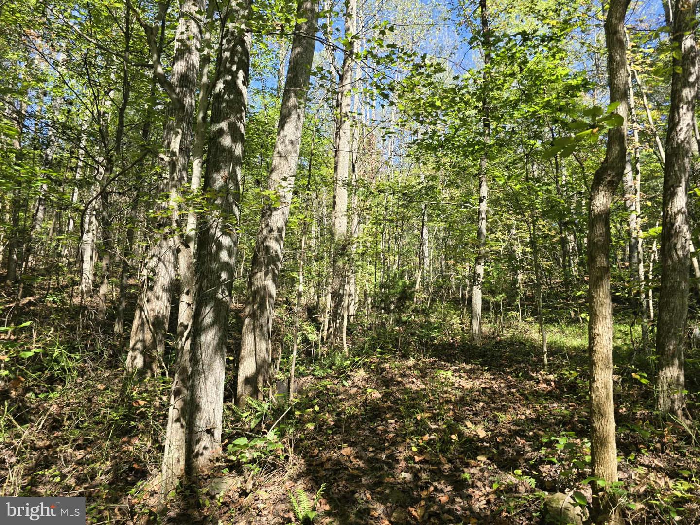 Hurt Hollow Rd Property Photo 16
