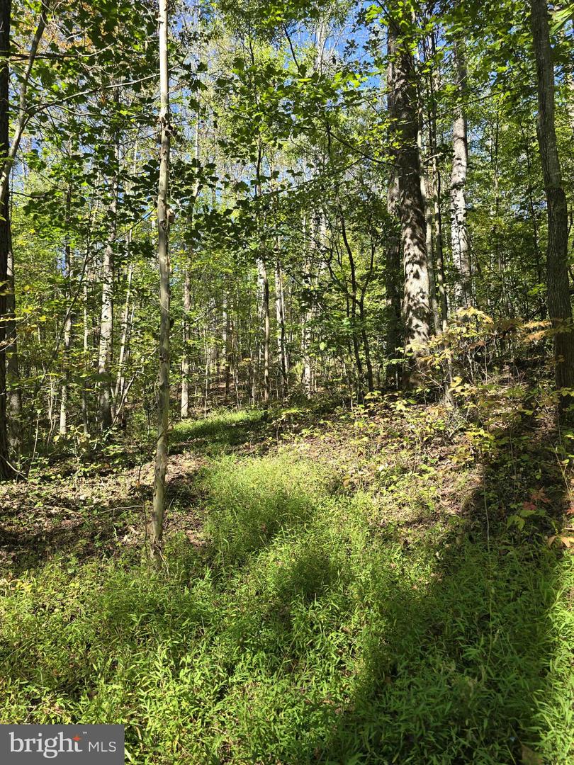 Hurt Hollow Rd Property Photo 17