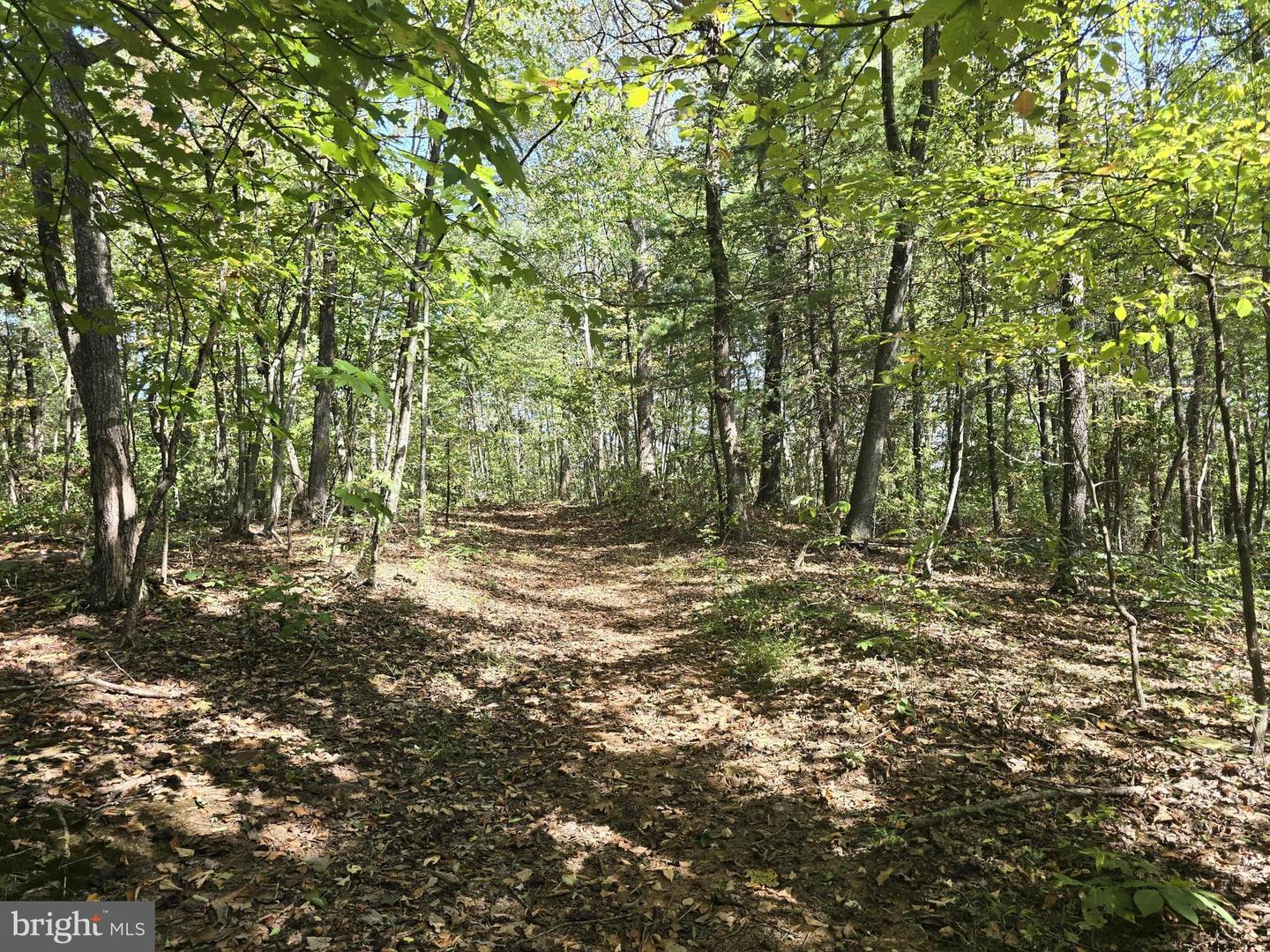 Hurt Hollow Rd Property Photo 19