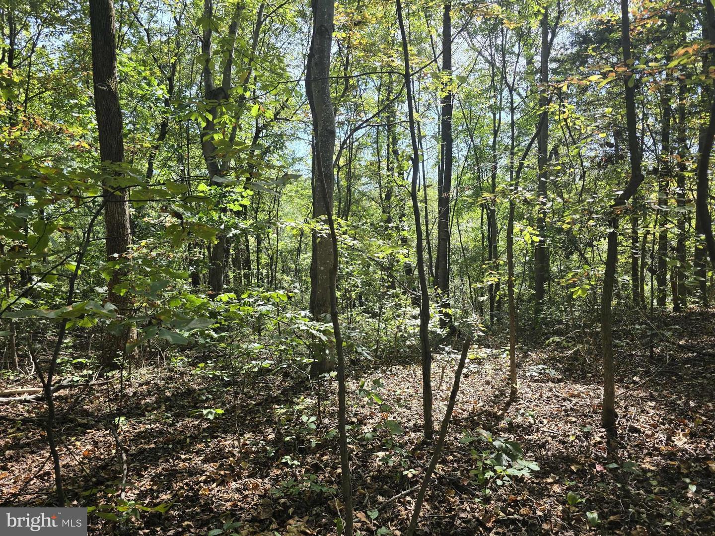 Hurt Hollow Rd Property Photo 20