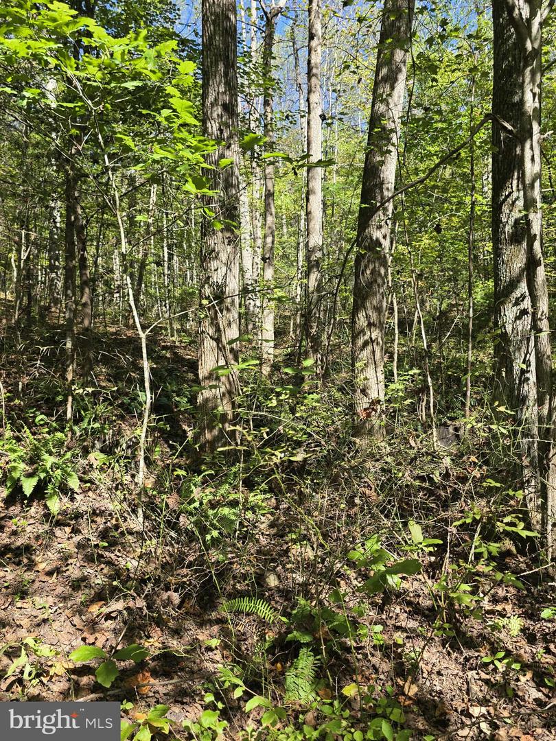 Hurt Hollow Rd Property Photo 21