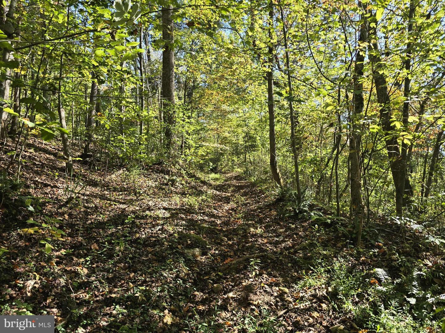 Hurt Hollow Rd Property Photo 25