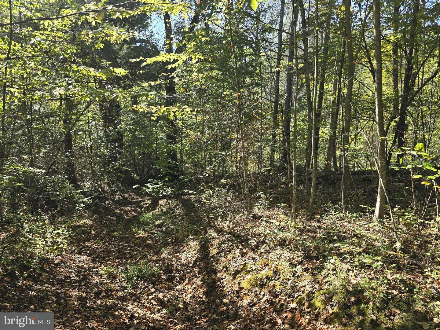 Hurt Hollow Rd Property Photo 26