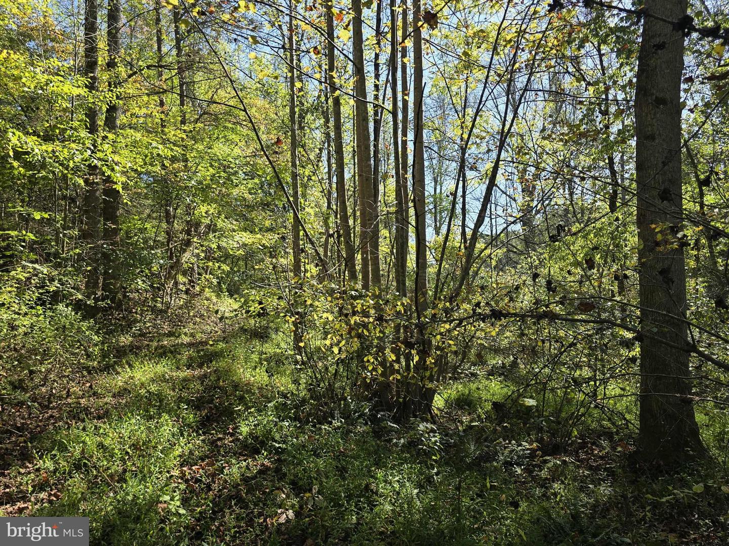 Hurt Hollow Rd Property Photo 28