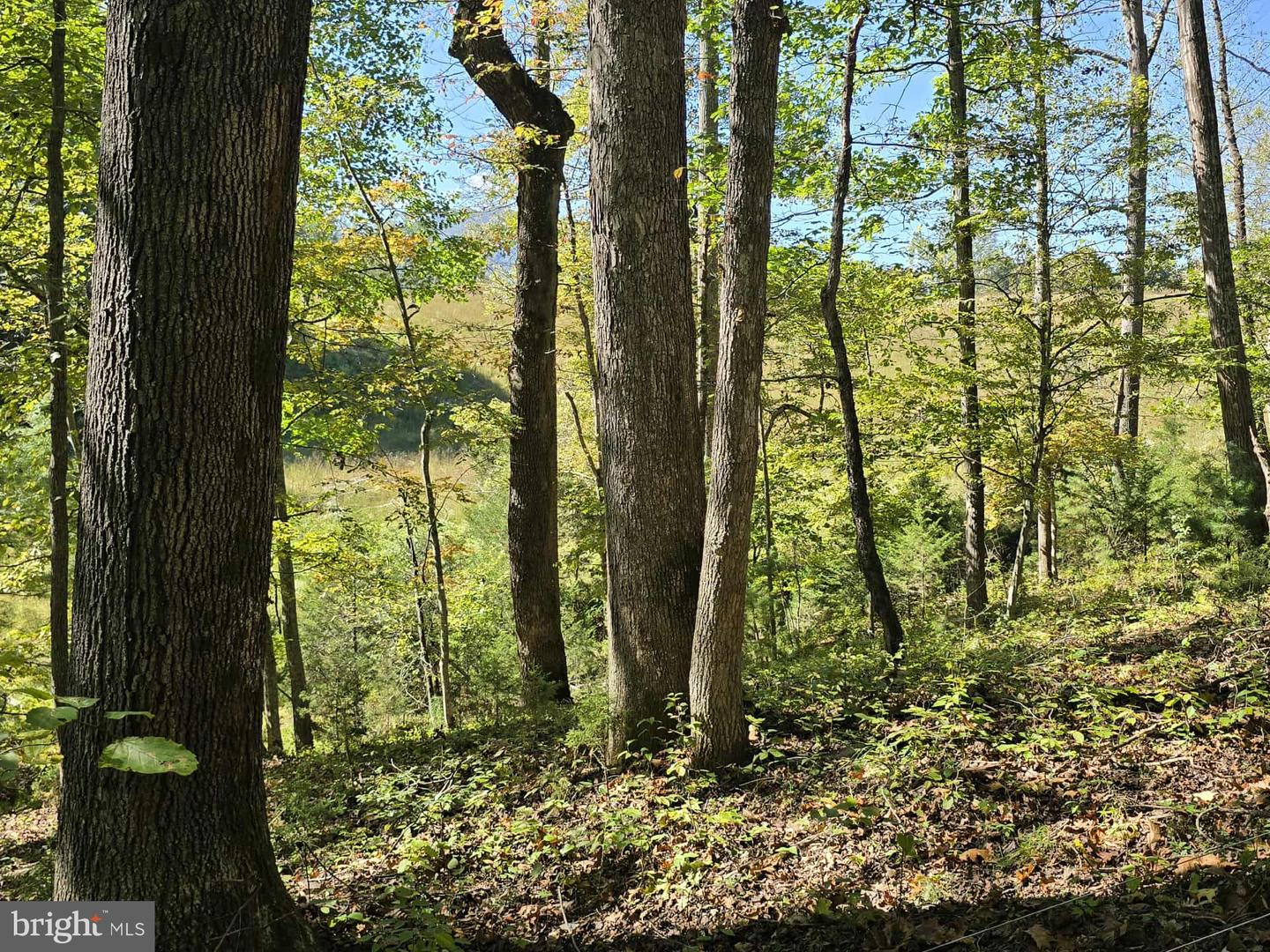 Hurt Hollow Rd Property Photo 29