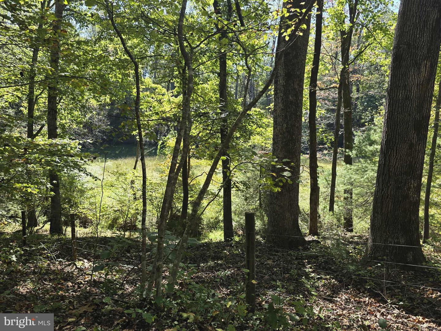Hurt Hollow Rd Property Photo 30