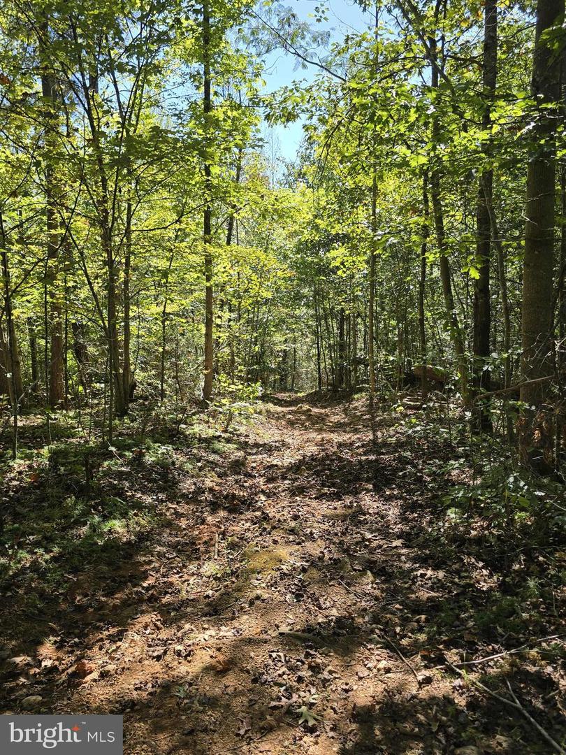 Hurt Hollow Rd Property Photo 32