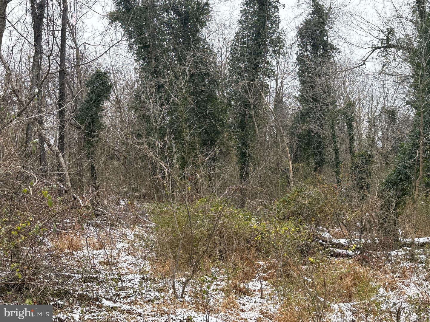 0 Main Property Photo 6