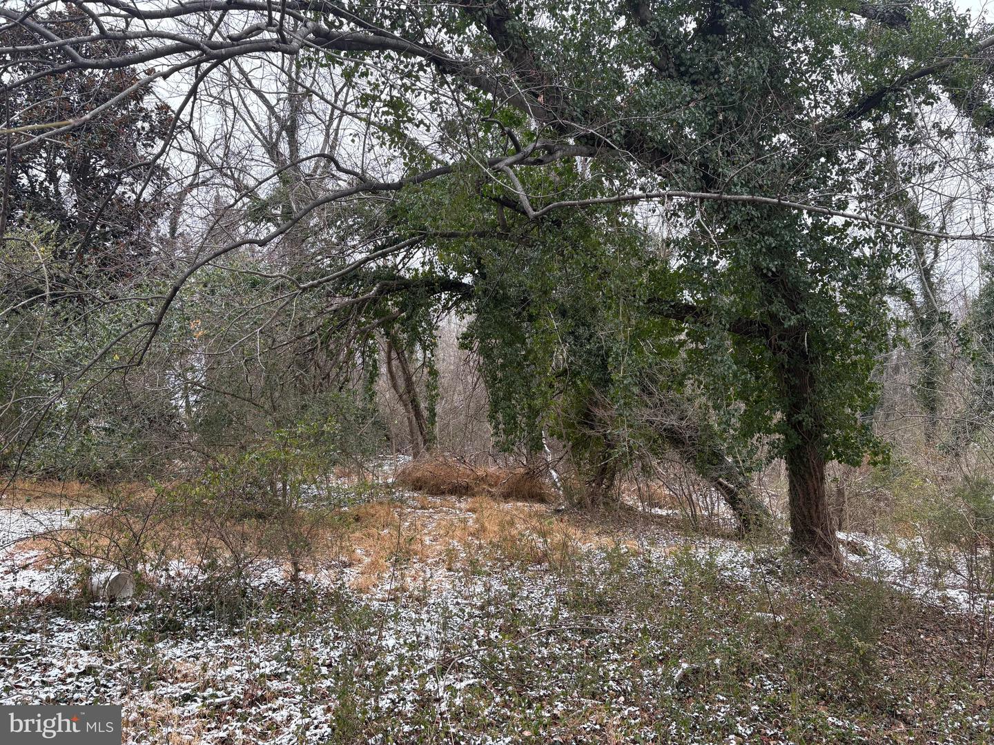 0 Main Property Photo 7