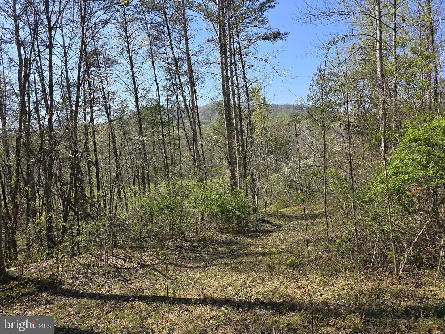 Lot 1 S Ft Valley Rd Property Photo 1