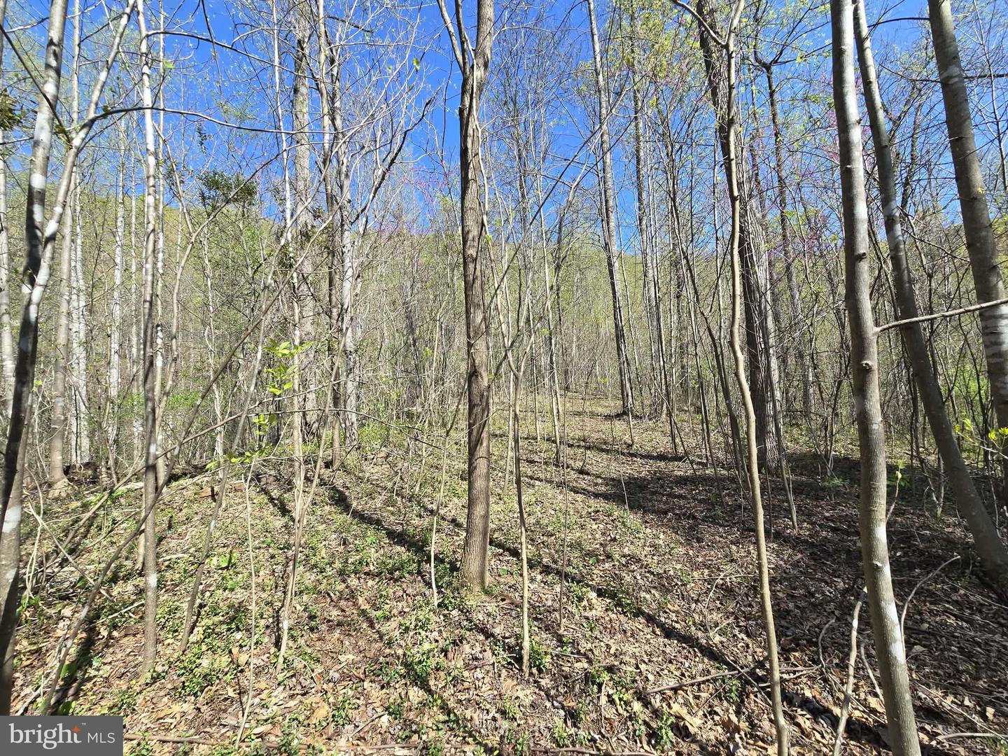 Lot 1 S Ft Valley Rd Property Photo 6