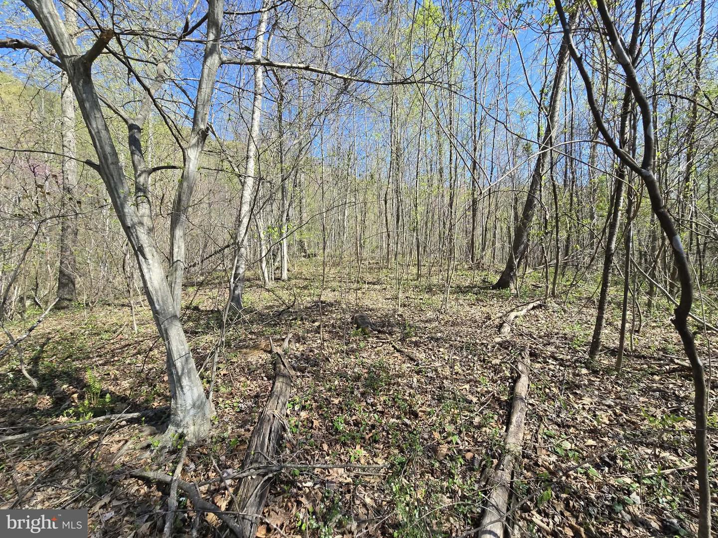Lot 1 S Ft Valley Rd Property Photo 7