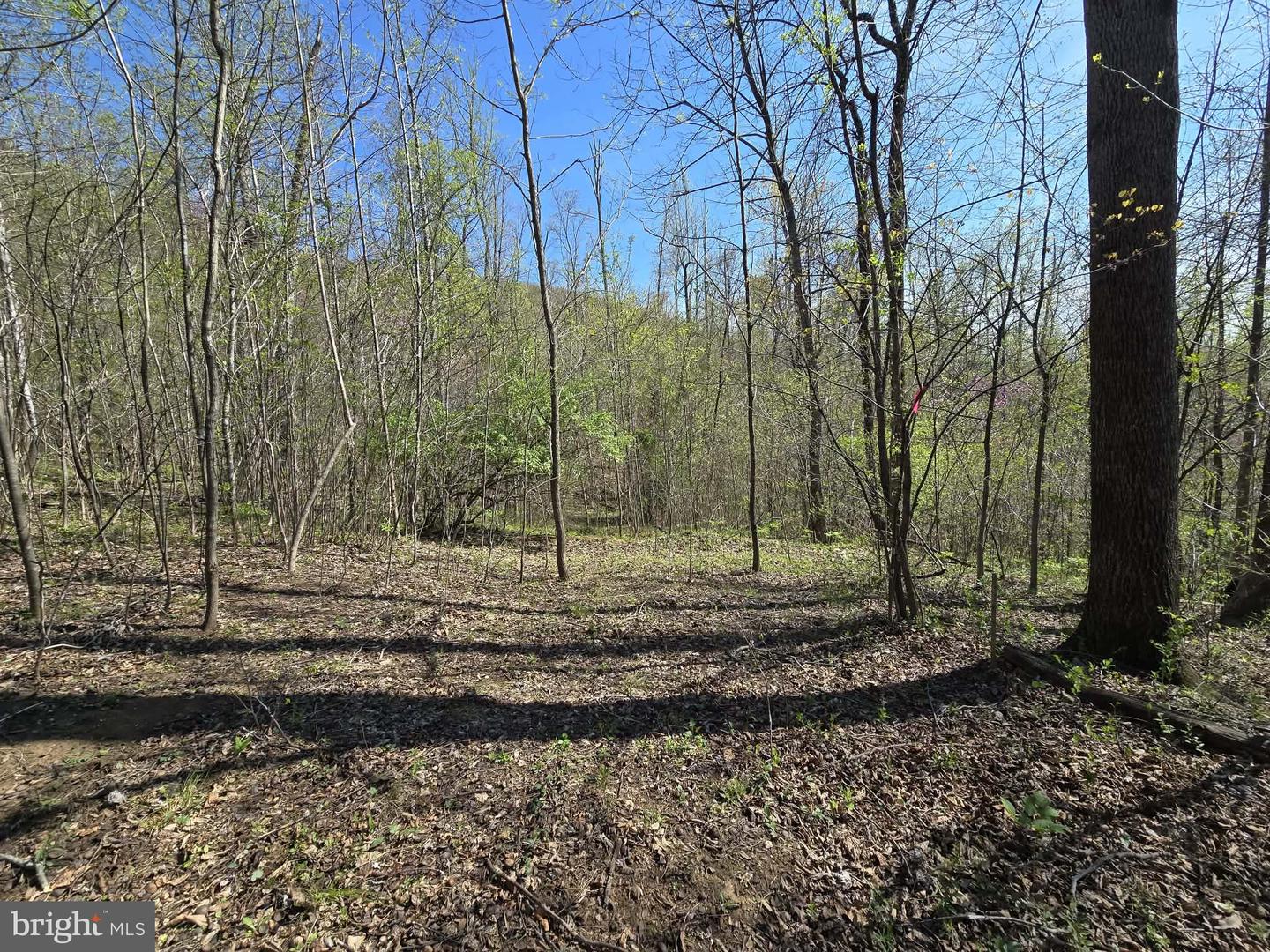Lot 1 S Ft Valley Rd Property Photo 8