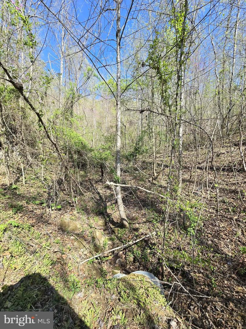 Lot 1 S Ft Valley Rd Property Photo 9