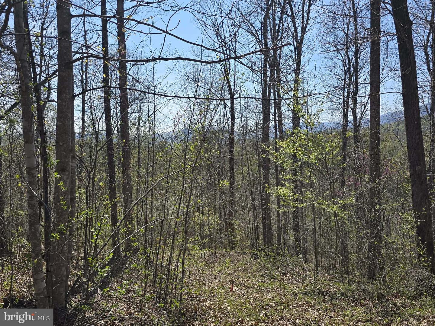 Lot 1 S Ft Valley Rd Property Photo 10