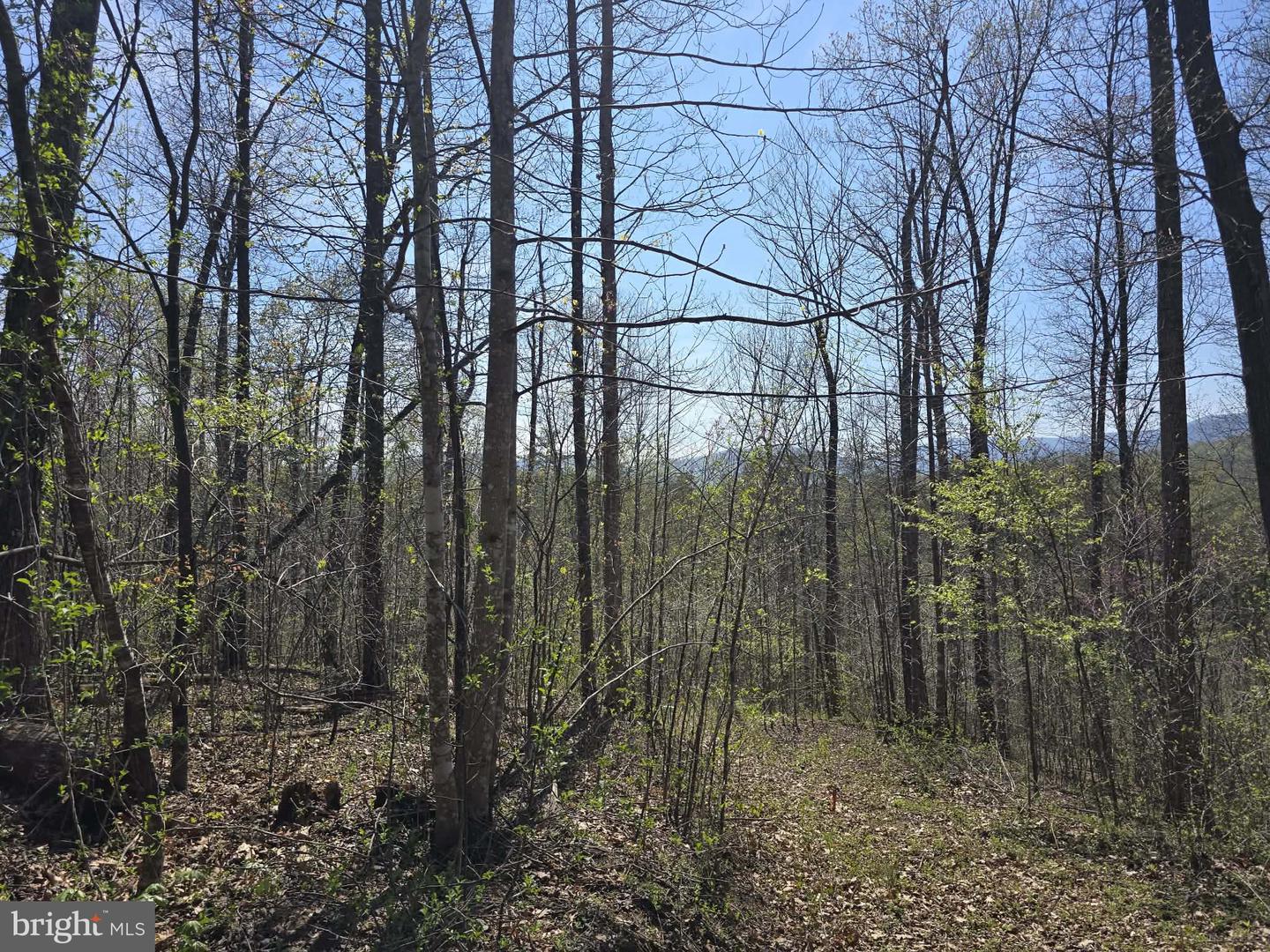 Lot 1 S Ft Valley Rd Property Photo 11