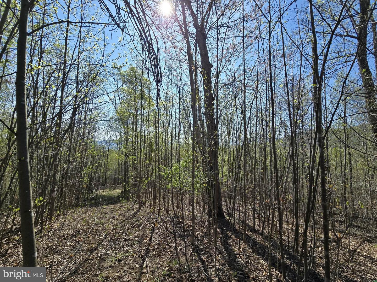 Lot 1 S Ft Valley Rd Property Photo 12