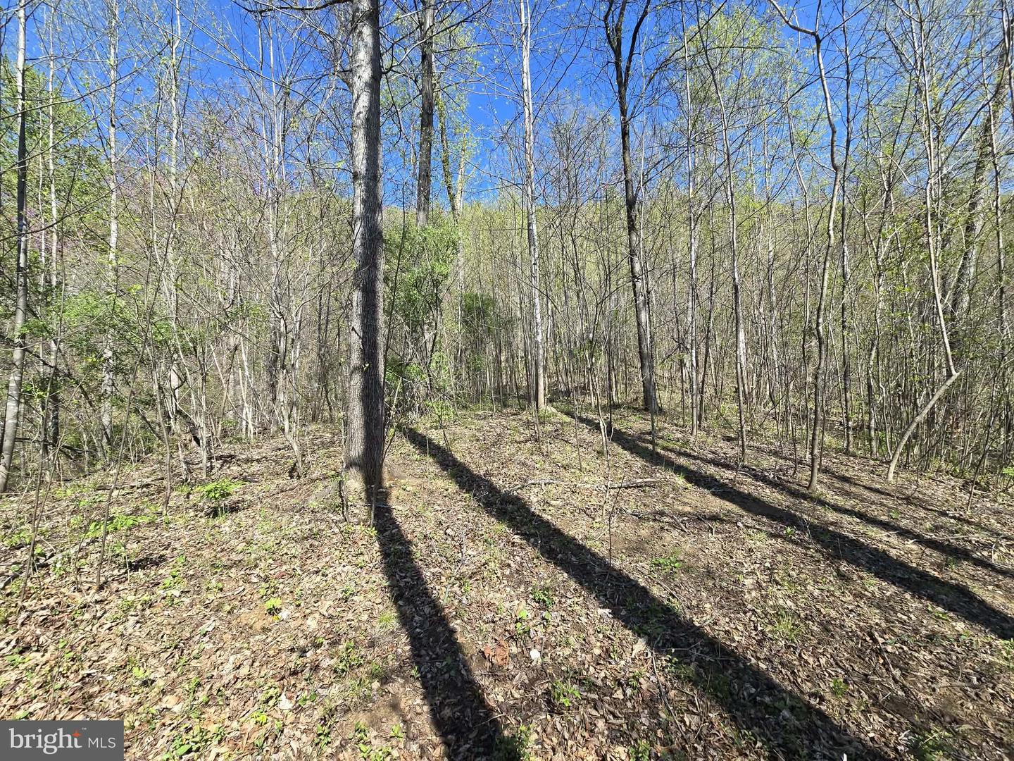 Lot 1 S Ft Valley Rd Property Photo 14