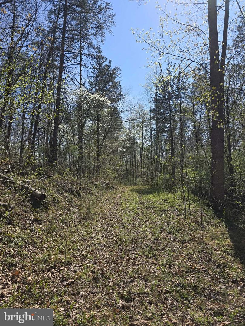 Lot 1 S Ft Valley Rd Property Photo 16