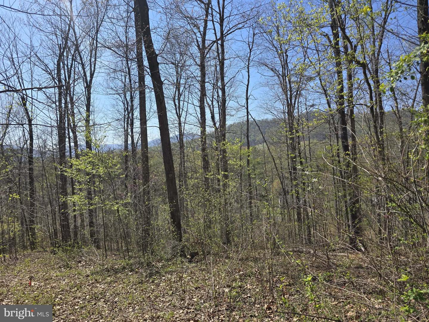 Lot 1 S Ft Valley Rd Property Photo 17
