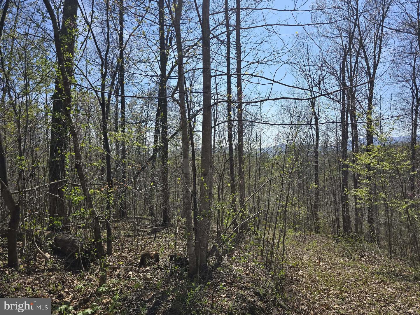 Lot 1 S Ft Valley Rd Property Photo 18