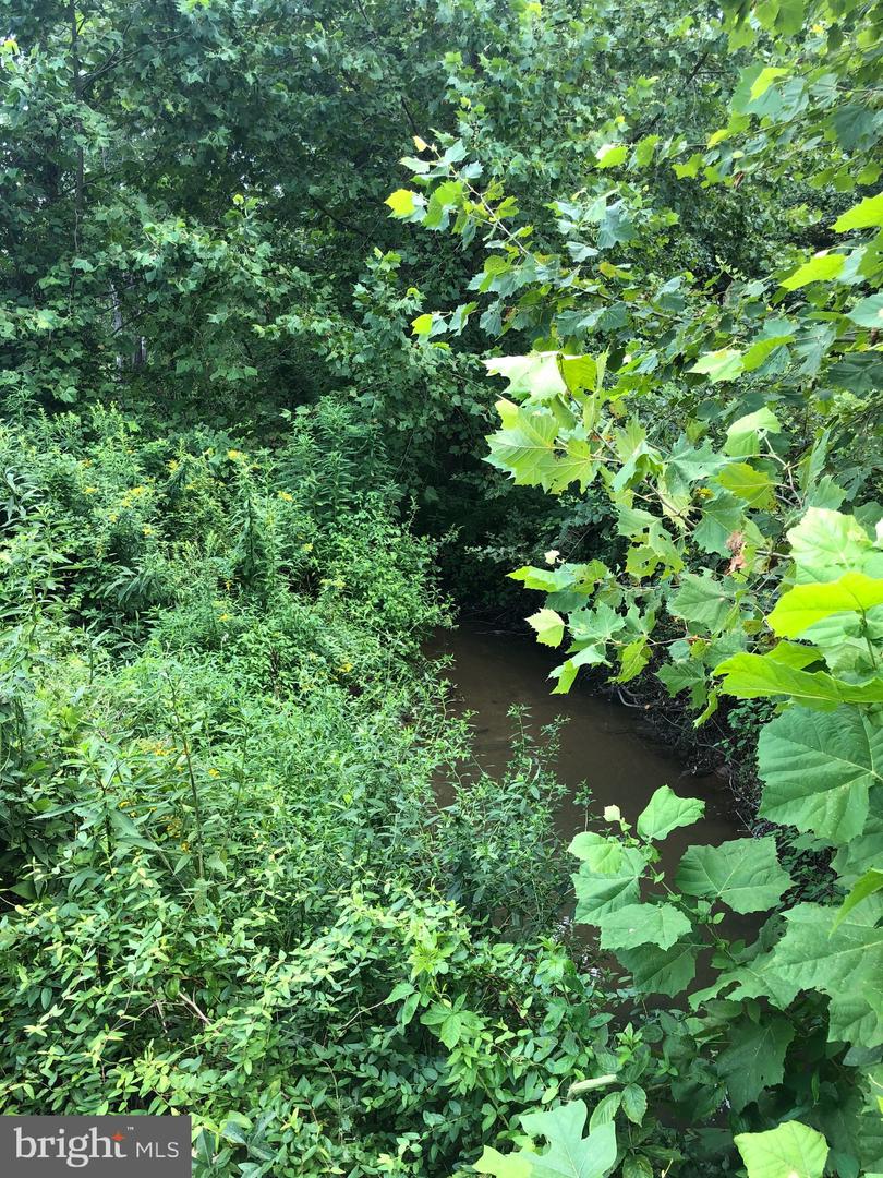 Tbd Orange Rd. Property Photo 6