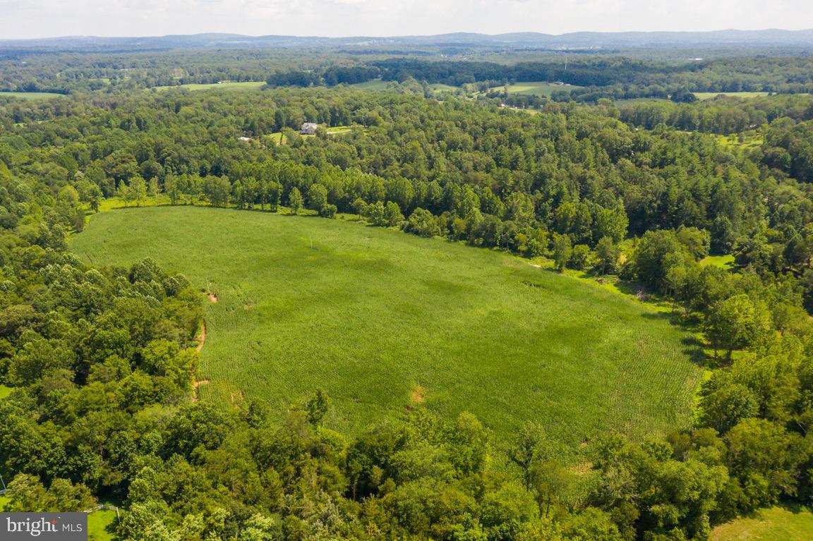 Tbd Orange Rd. Property Photo 17