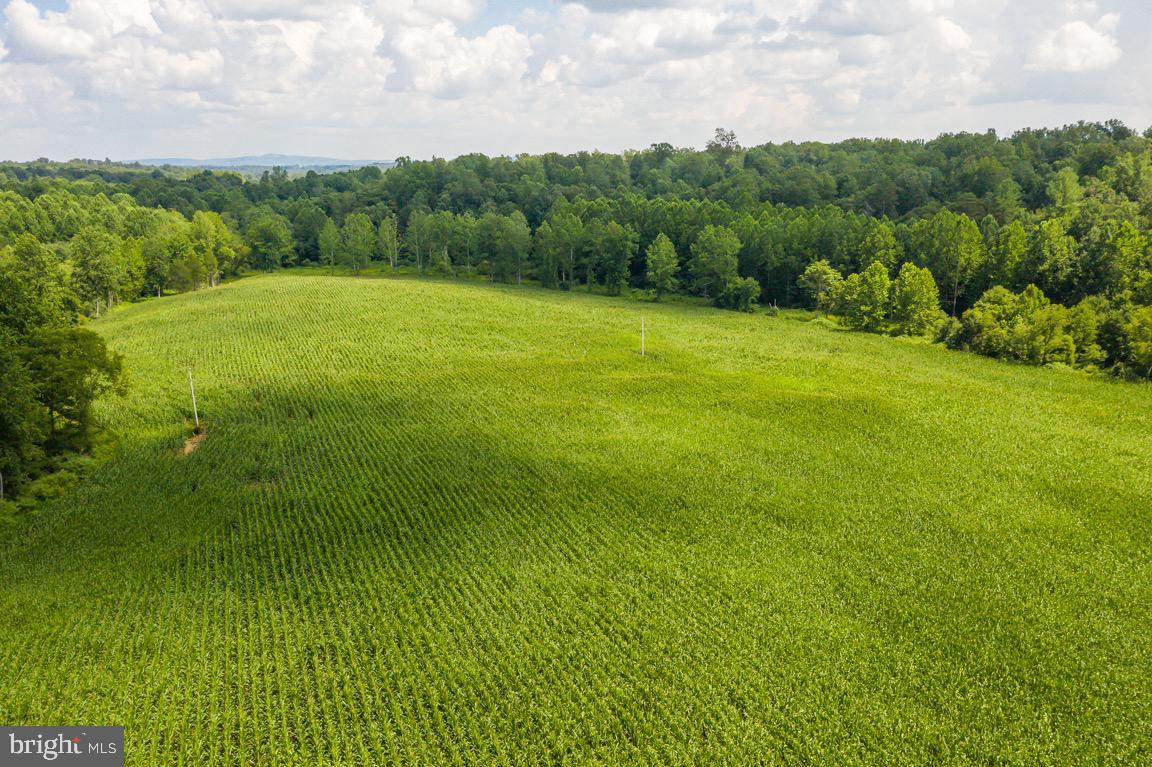 Tbd Orange Rd. Property Photo 18