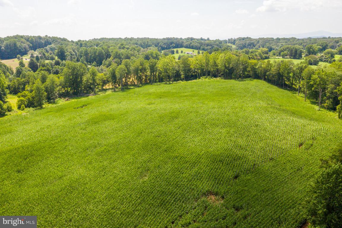 Tbd Orange Rd. Property Photo 29